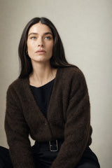 Brown Fur
